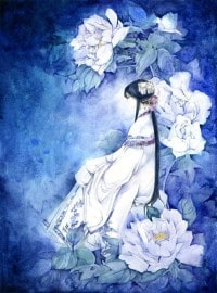 小白兔(高H)